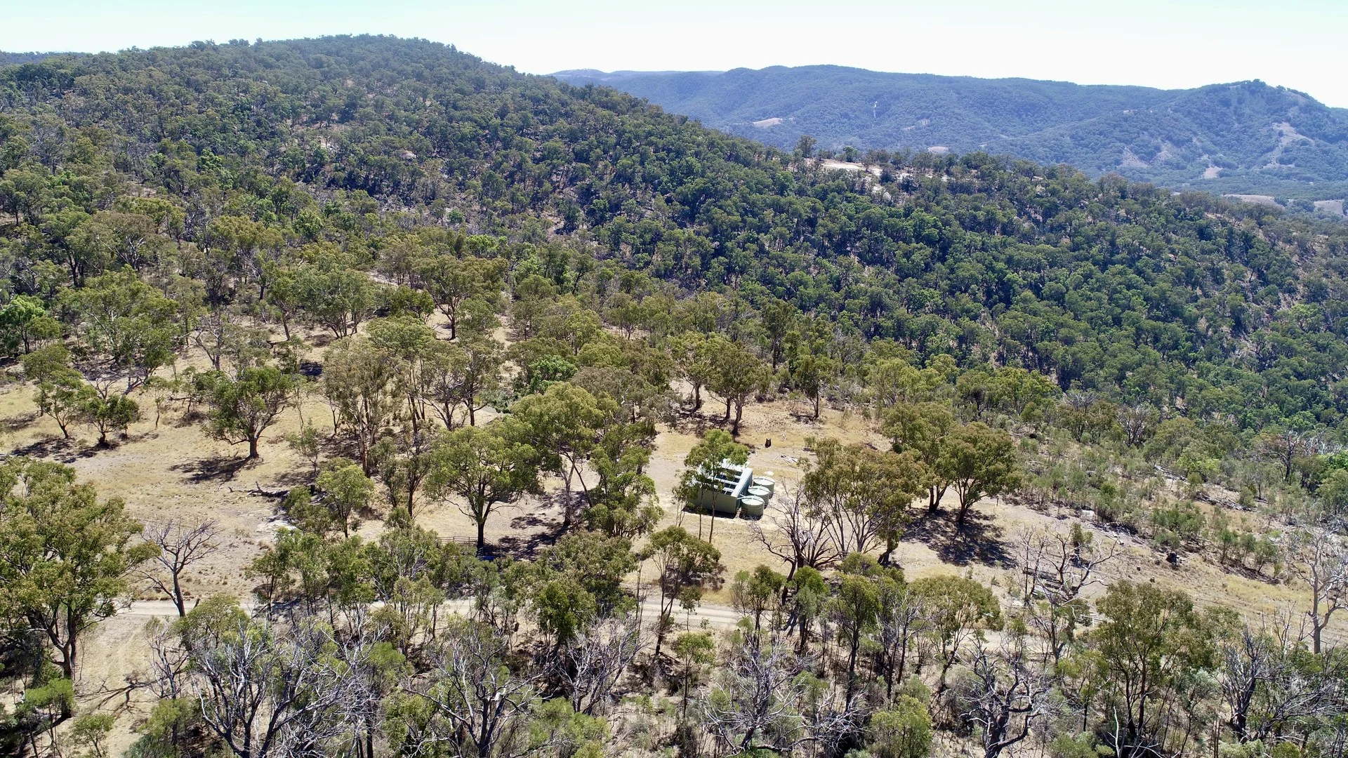 220 Never Never Road, Halls Creek NSW 2346