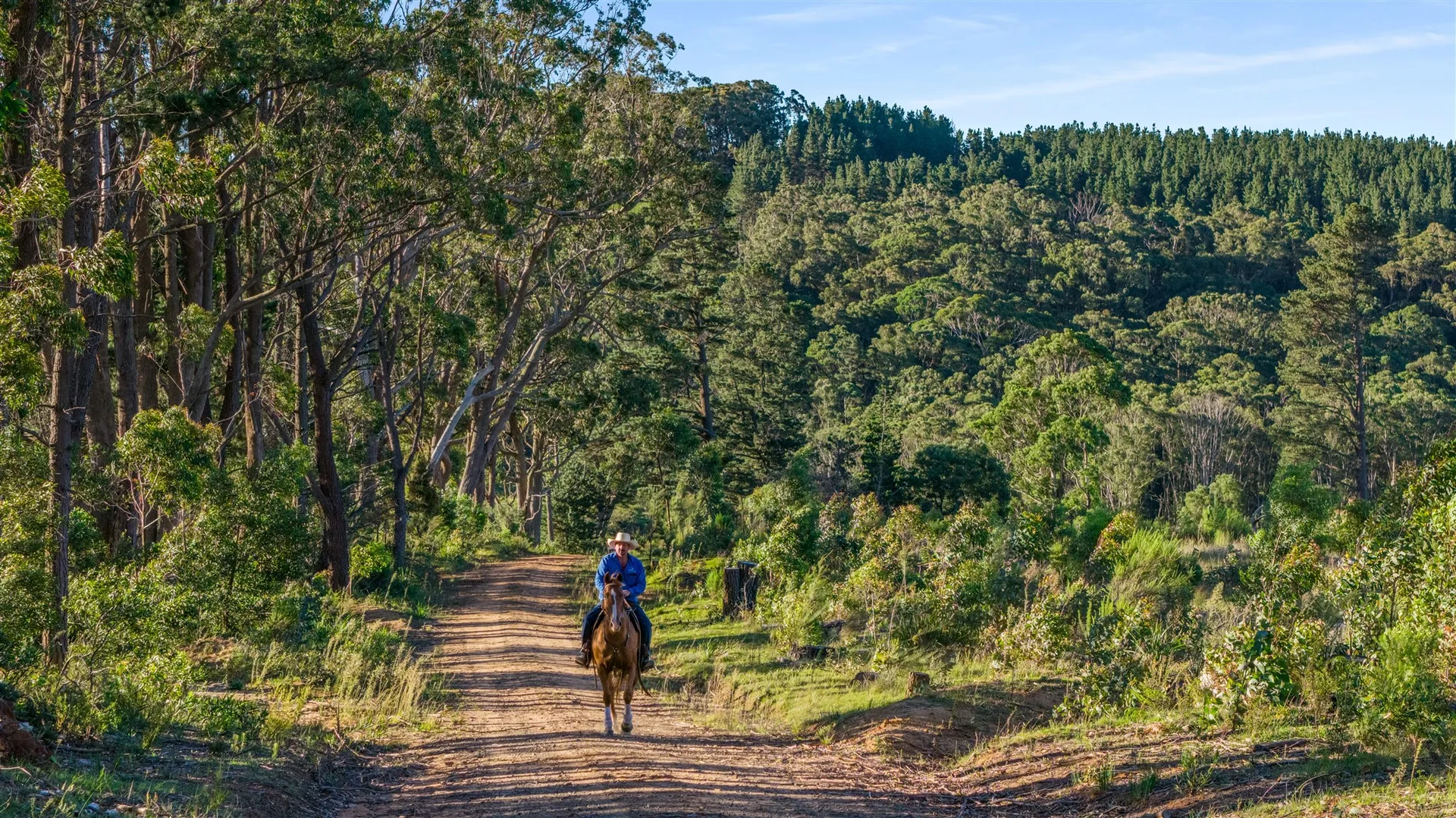 Additional image 47 of 464 Bumballa Road, Tallong NSW 2579