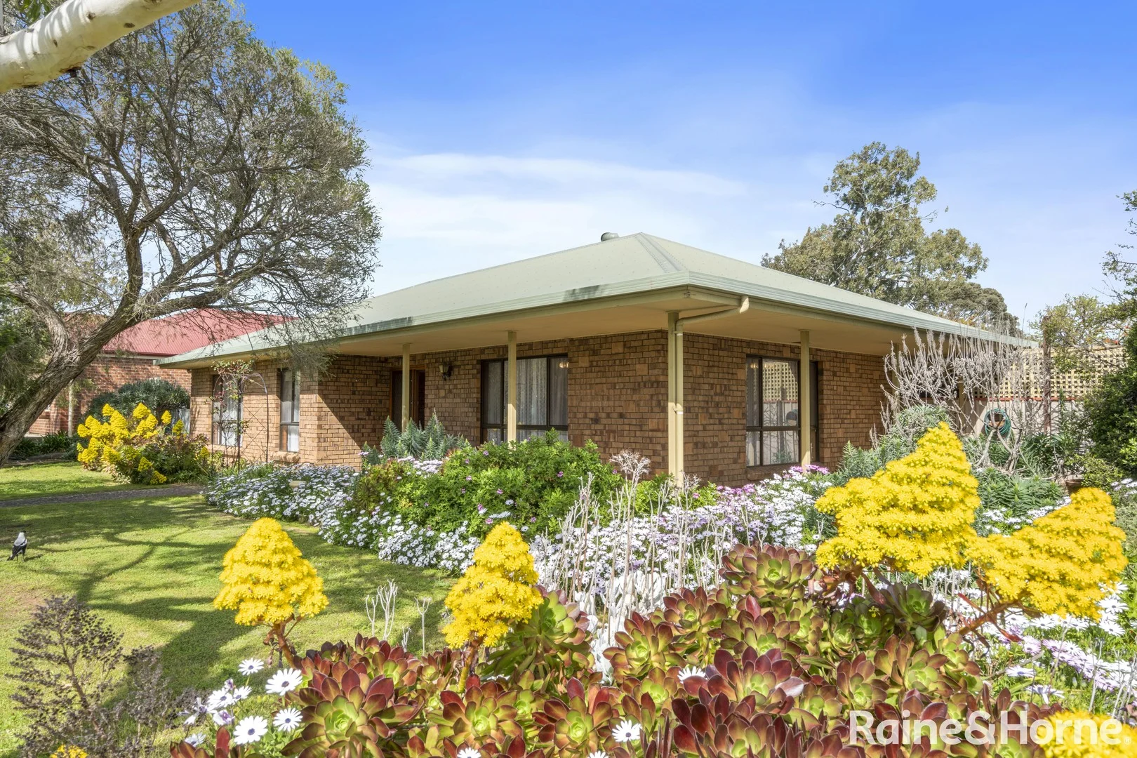 15 Murray Street, Strathalbyn SA 5255