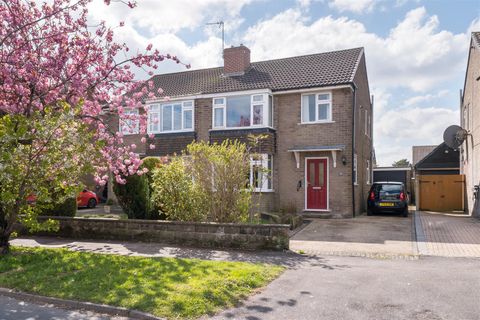 Barncliffe Road, Fulwood S10