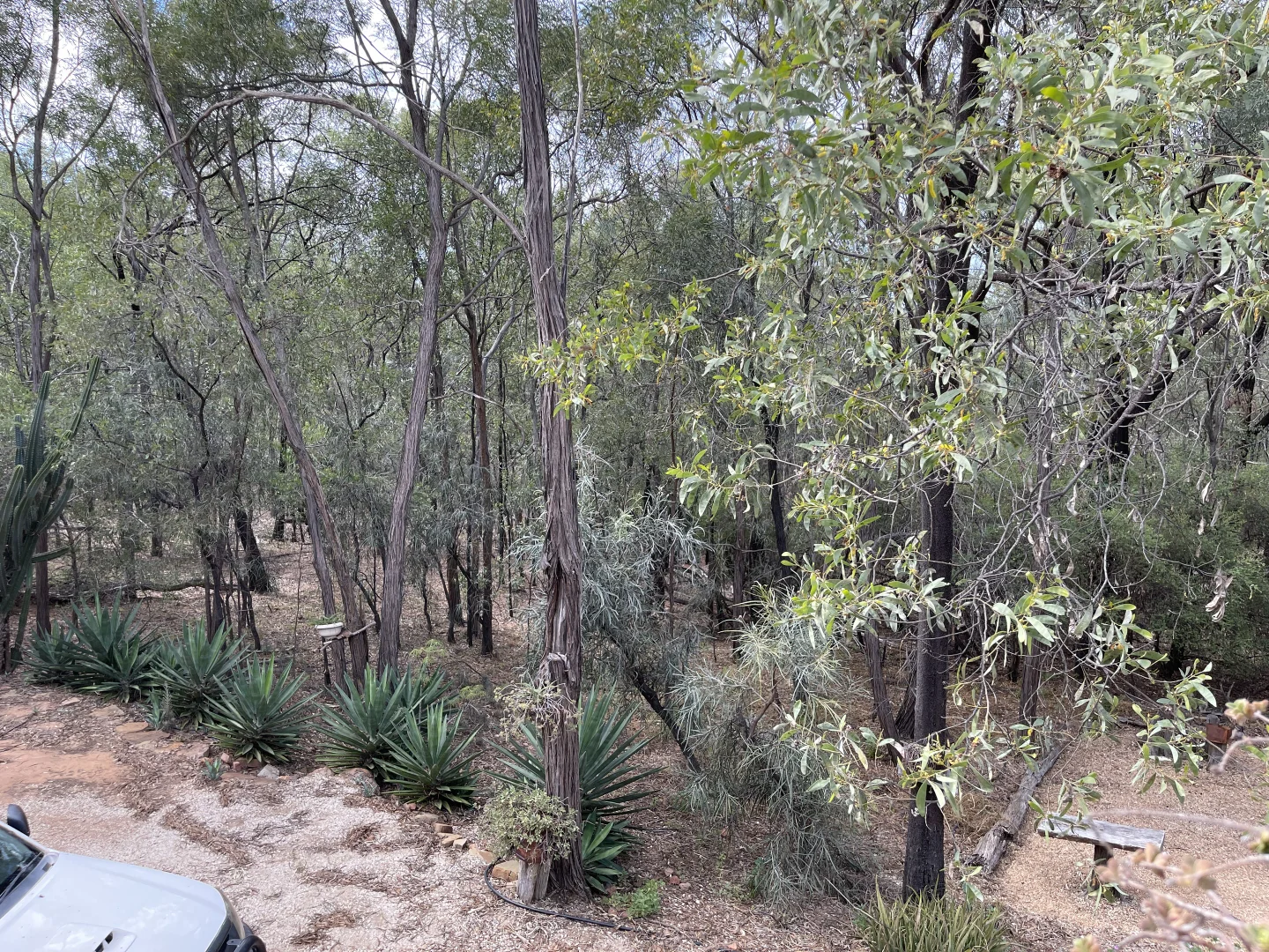 Additional image 11 of 41 Sunrise Road, Sapphire QLD 4702