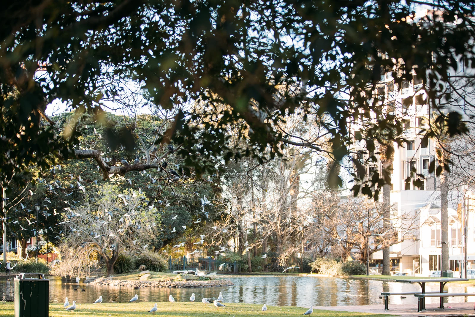Additional image 9 of 28/79-81 Liverpool Road, Burwood NSW 2134