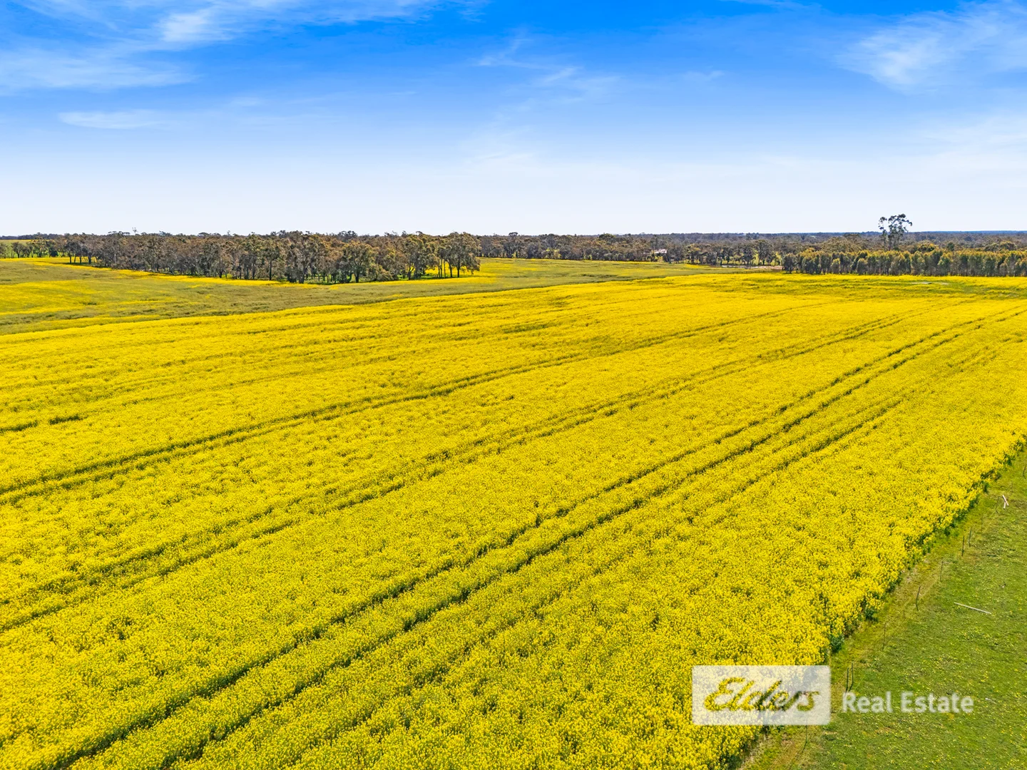 Additional image 6 of 225 West Beattie Road, Mount Barker WA 6324