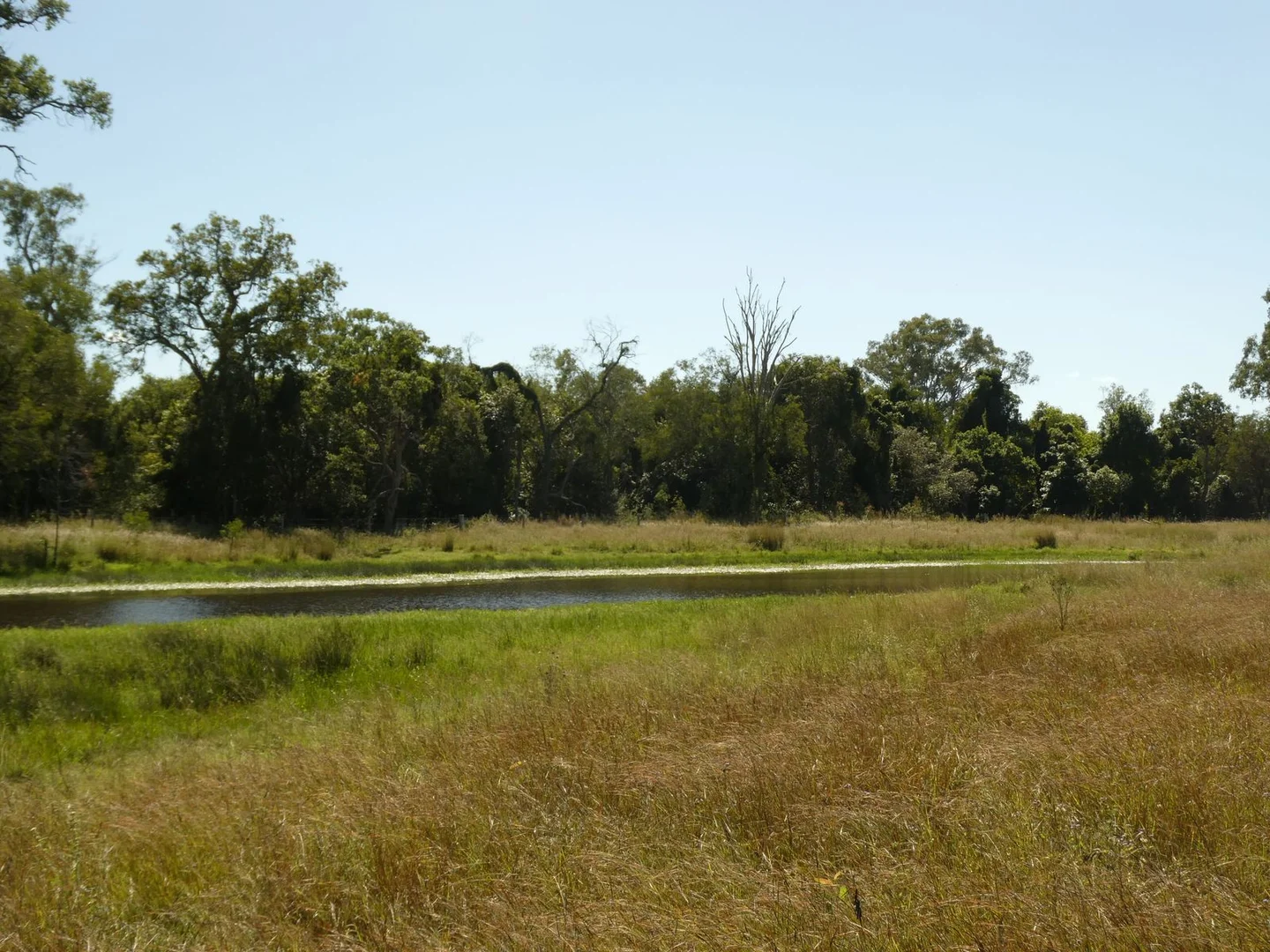 Additional image 16 of Lot 31 Brooweena Woolooga Road, Teebar QLD 4620