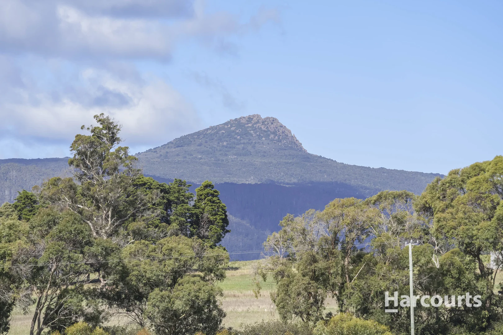 Additional image 51 of 214 Mathinna Plains Road, Ringarooma TAS 7263