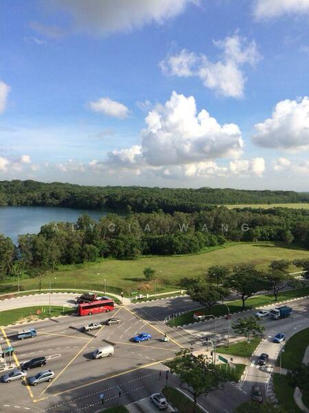 91 Tampines Avenue 1 photo 3