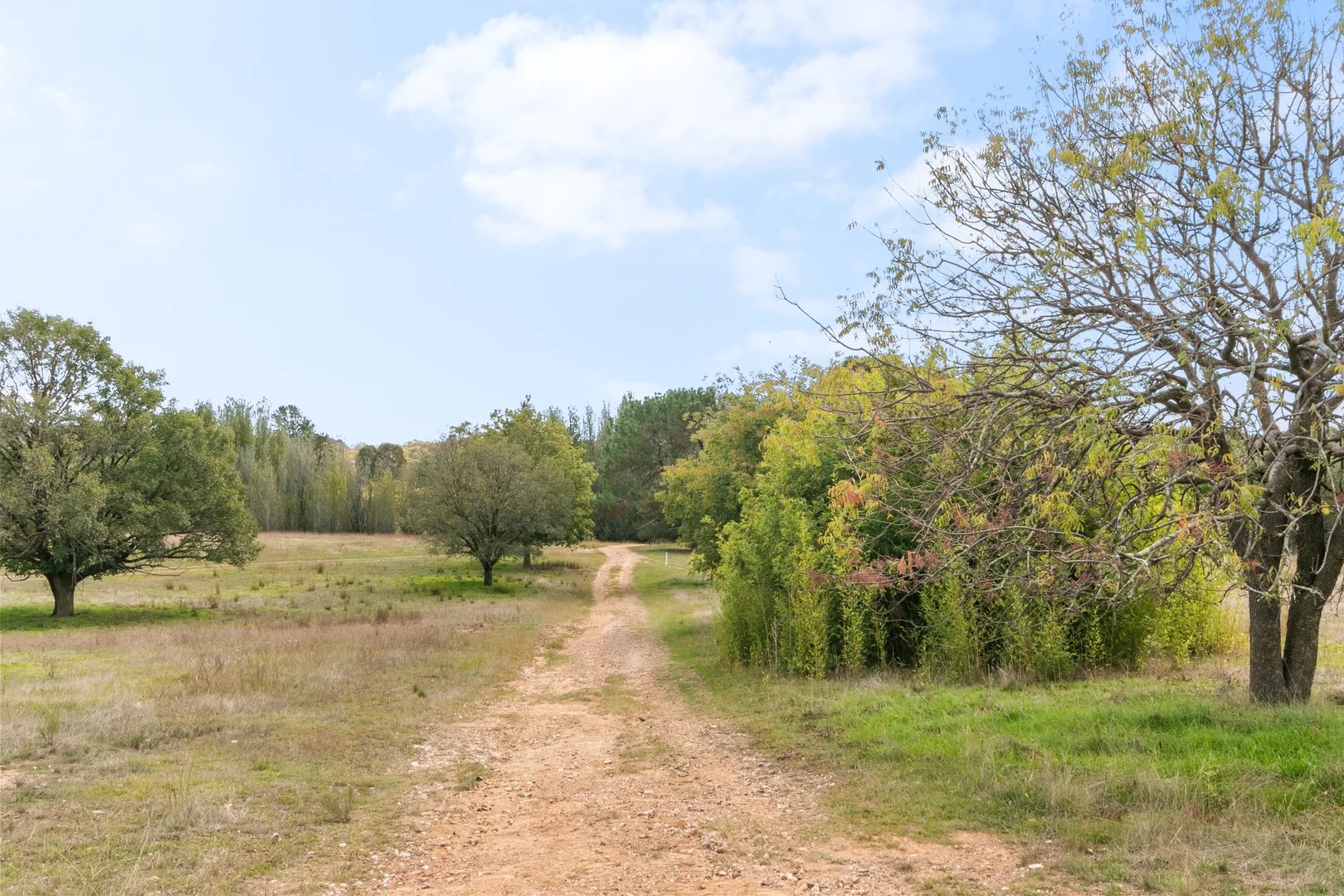 Additional image 28 of 1911 Rugby Road, BEVANDALE, Gunning NSW 2581