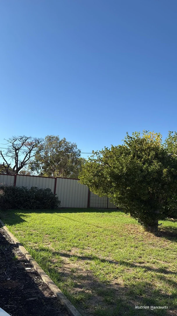 Additional image 10 of 28 Fox Street, Narrogin WA 6312