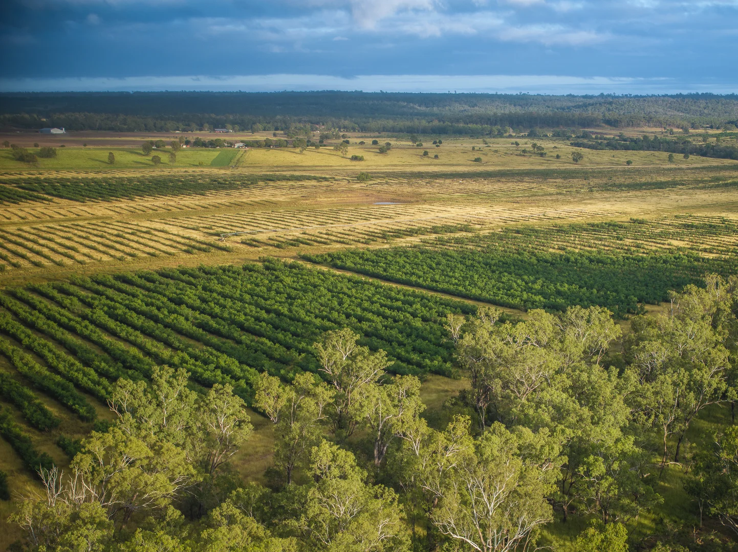 Additional image 4 of 1727 Boombah Road, Mackenzie QLD 4702