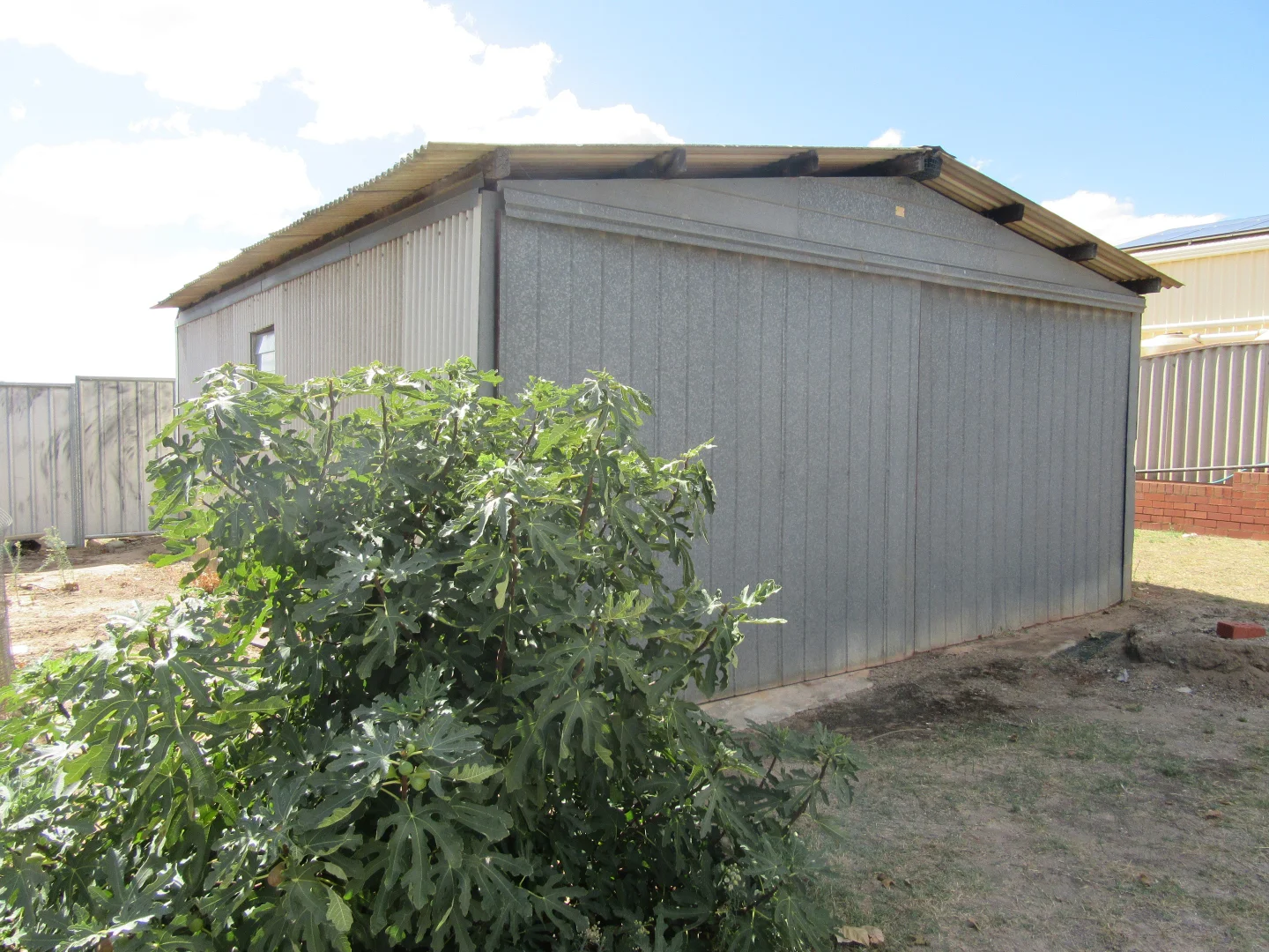 58 MacPherson Street, Carnamah WA 6517 photo 3
