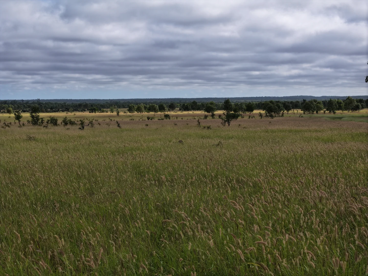 Additional image 5 of 5074 Alpha Tambo Road, Alpha QLD 4724