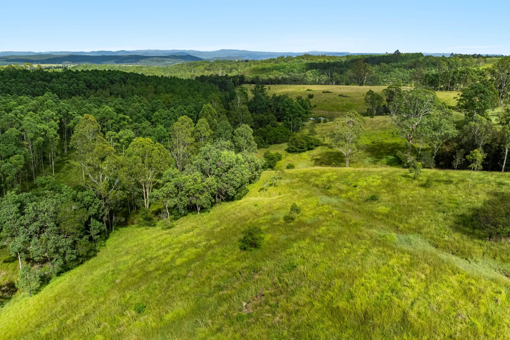 Additional image 10 of 12181 Clarence Way, Sandilands NSW 2469