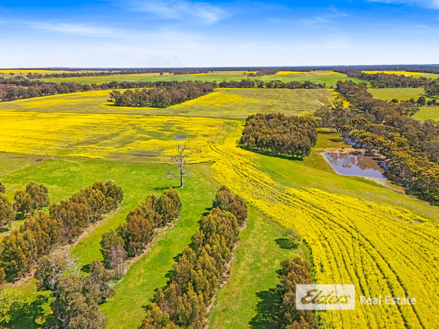 Additional image 7 of 225 West Beattie Road, Mount Barker WA 6324