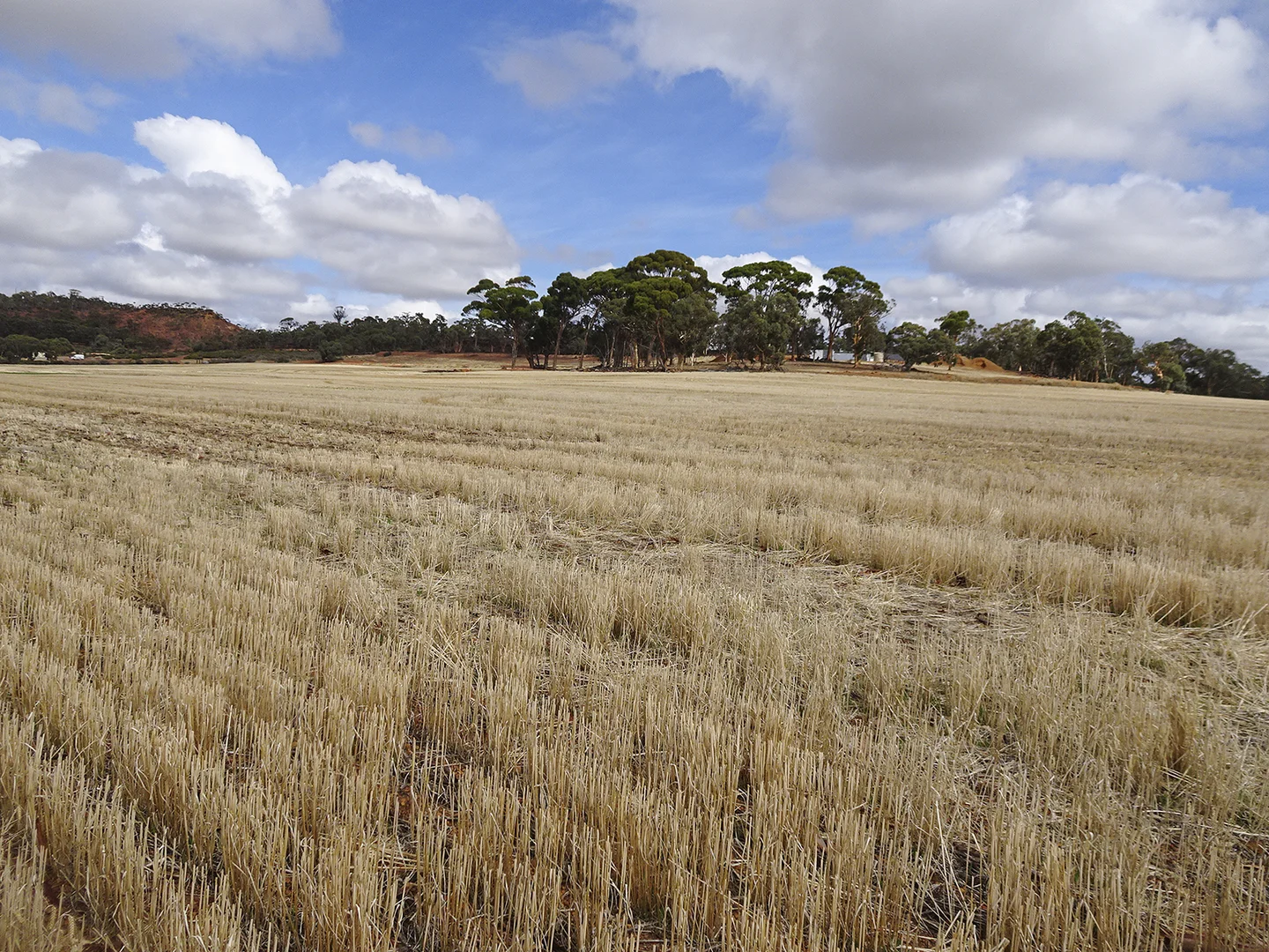 Additional image 27 of 10840 Brookton Highway, Brookton WA 6306