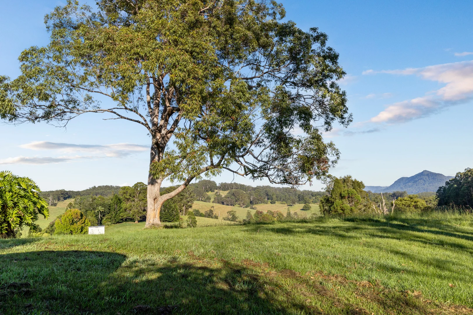 Additional image 30 of 423 Hydes Creek Road, Bellingen NSW 2454