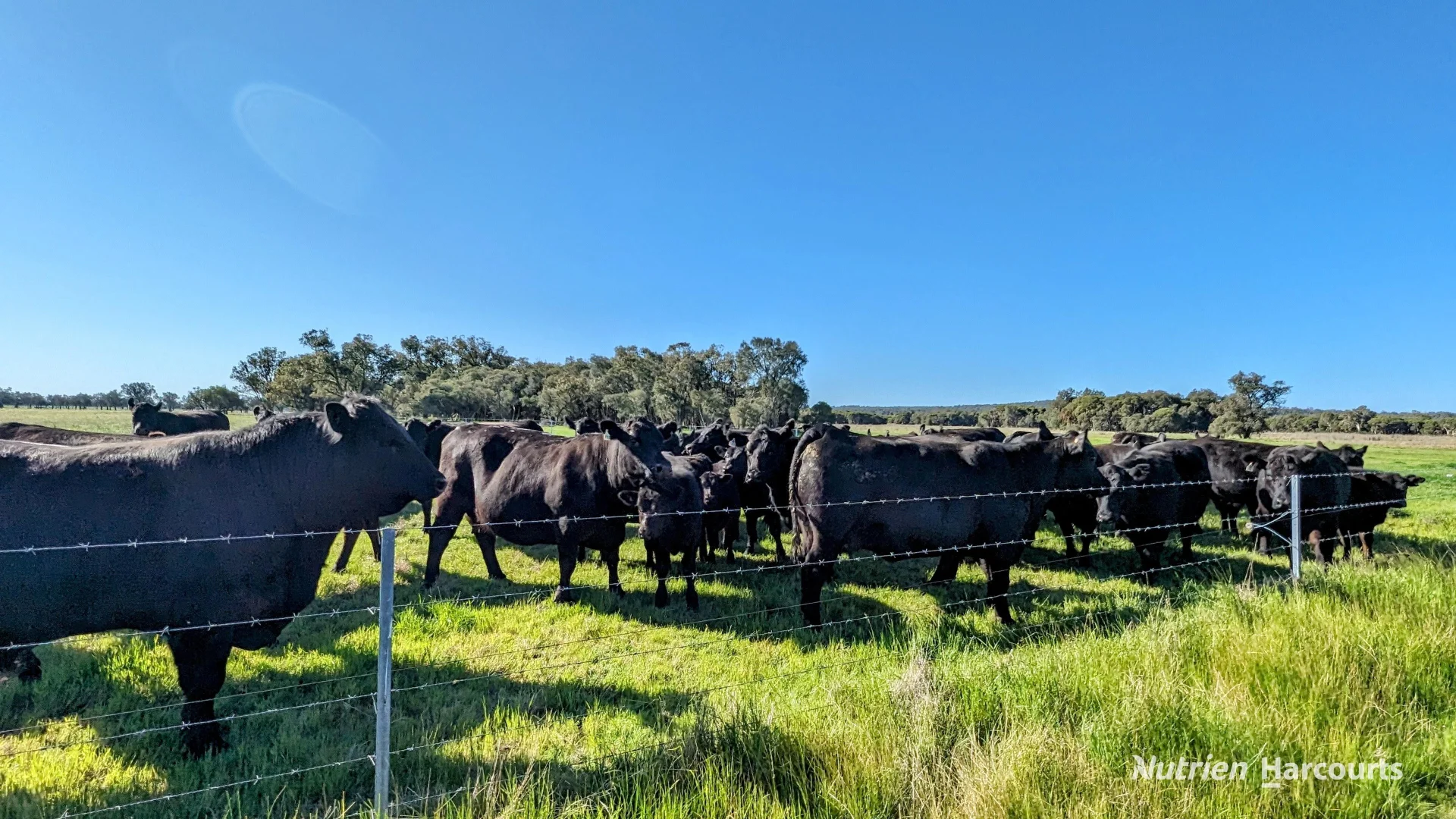 Additional image 6 of 1298 Brand Highway, Chittering WA 6084