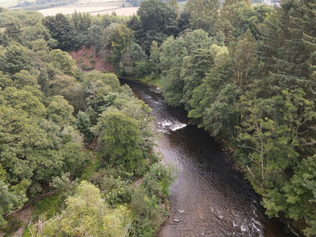 Additional image 5 of Land for saleRiver South Esk, Finavon, Angus DD8