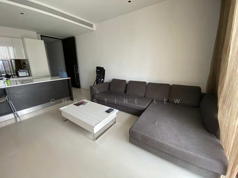 8 Scotts Road photo 3