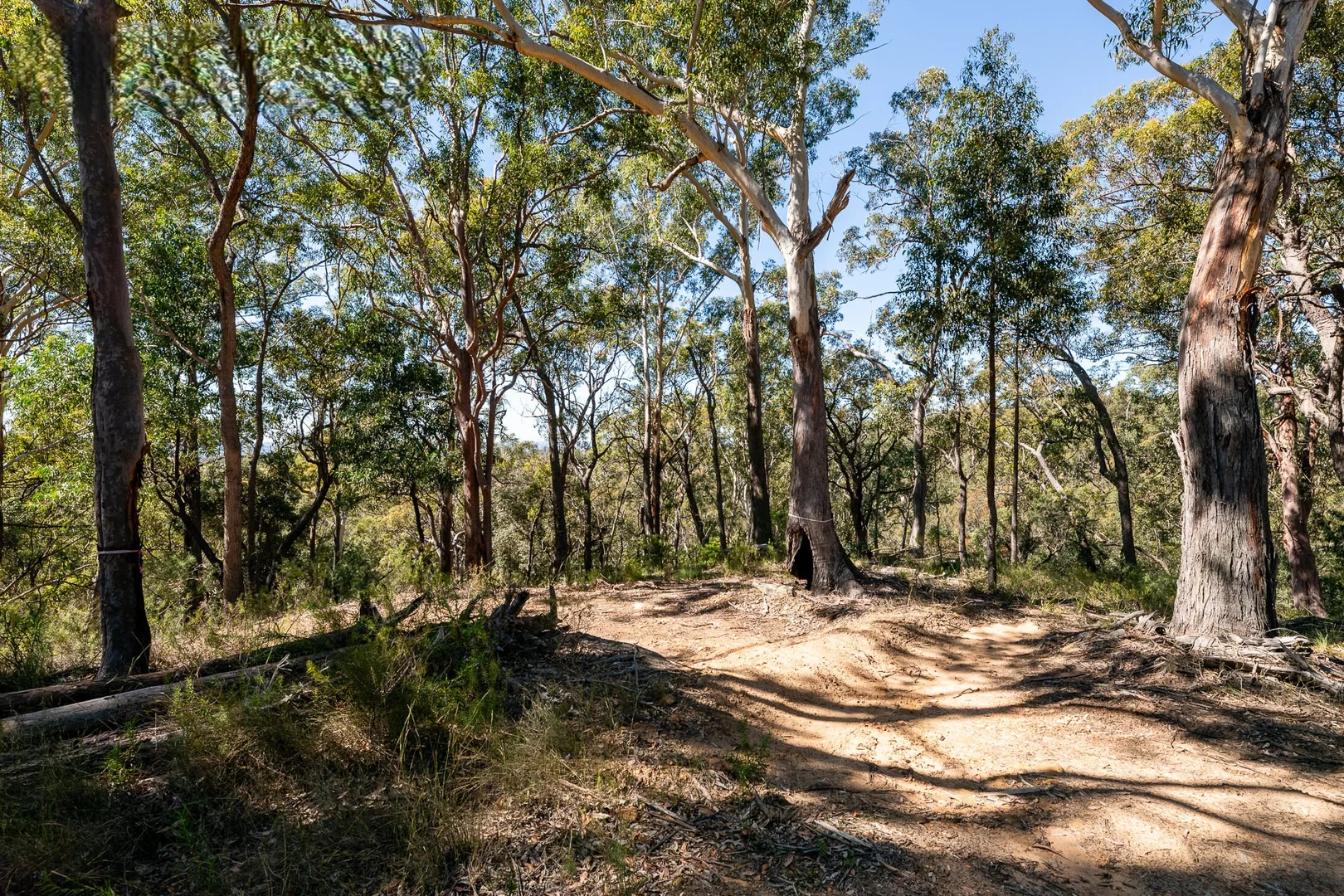 Additional image 11 of 123 News Road, Werombi NSW 2570