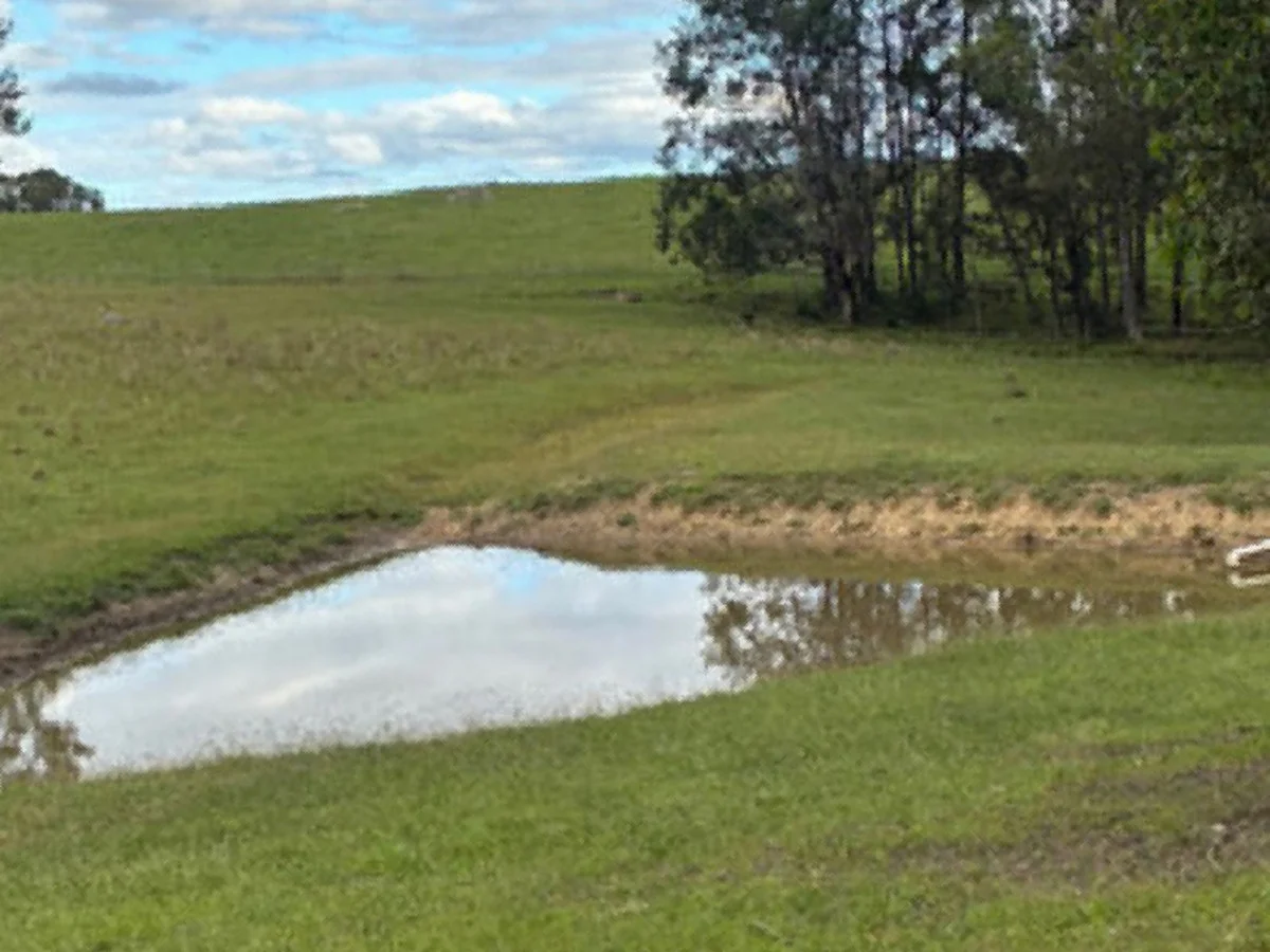 Additional image 14 of 46 Jersey Place, Cobargo NSW 2550