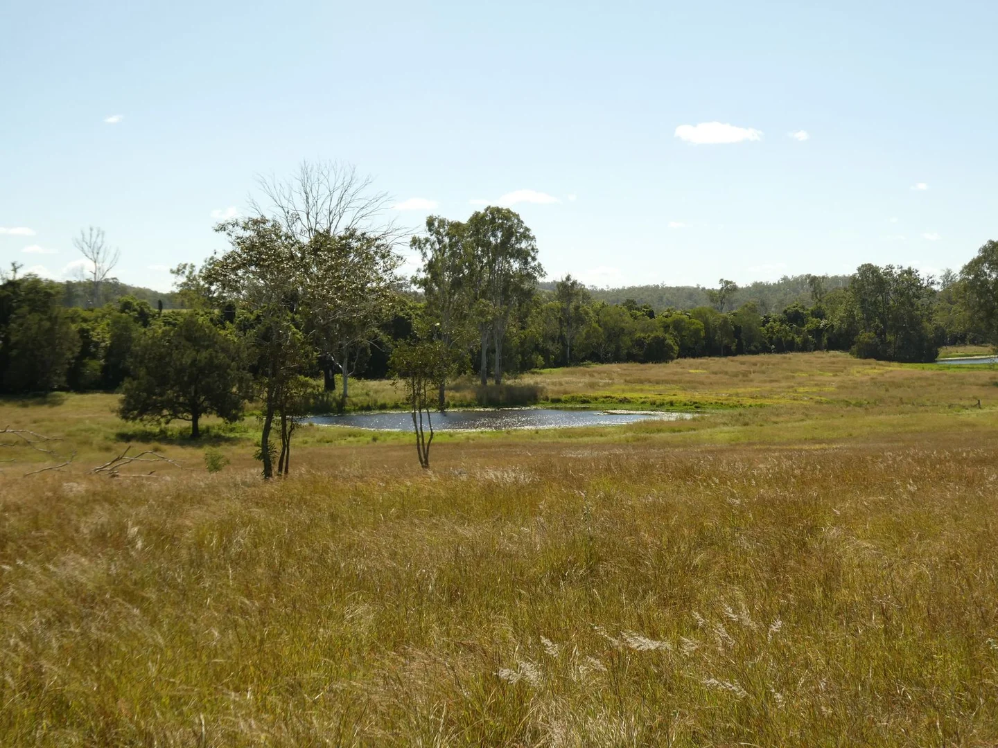 Additional image 4 of Lot 31 Brooweena Woolooga Road, Teebar QLD 4620