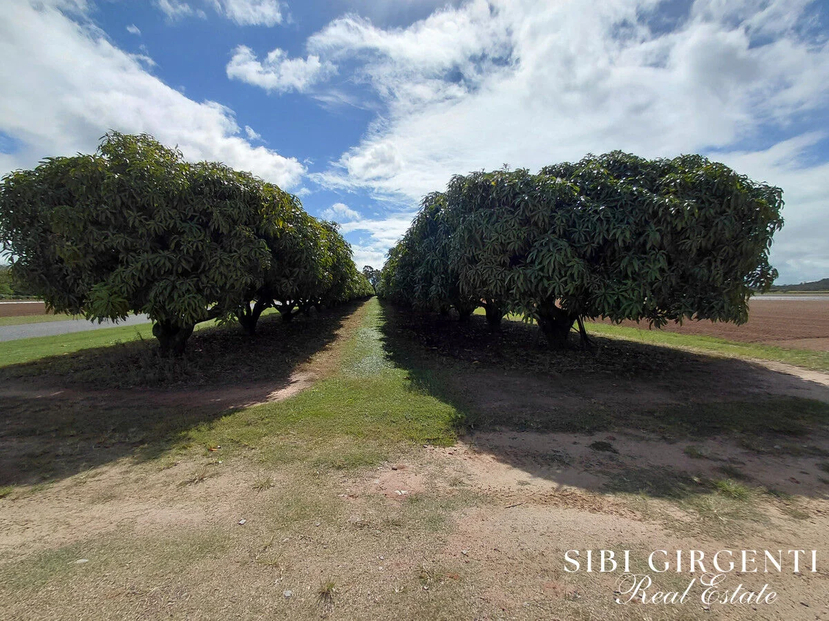 Additional image 12 of 262 Gilmore Road, Mareeba QLD 4880