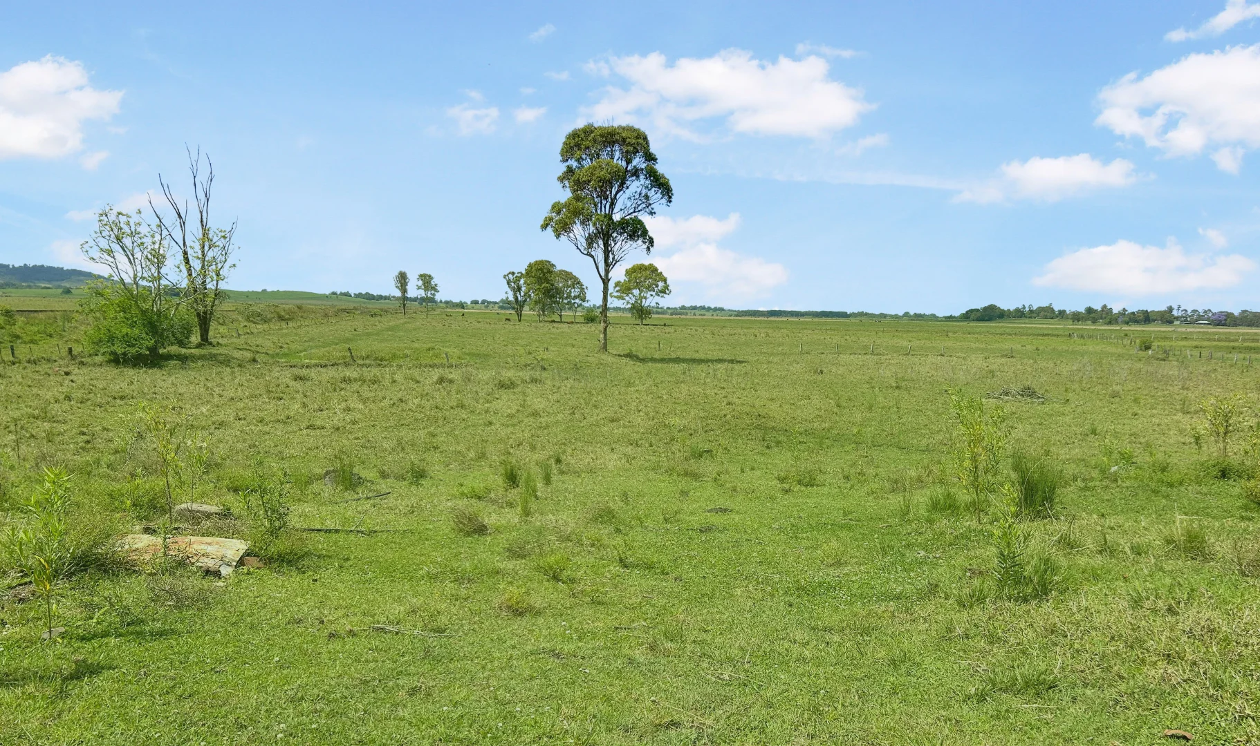 Additional image 11 of 110 Baraimal Lane, Cedar Point NSW 2474