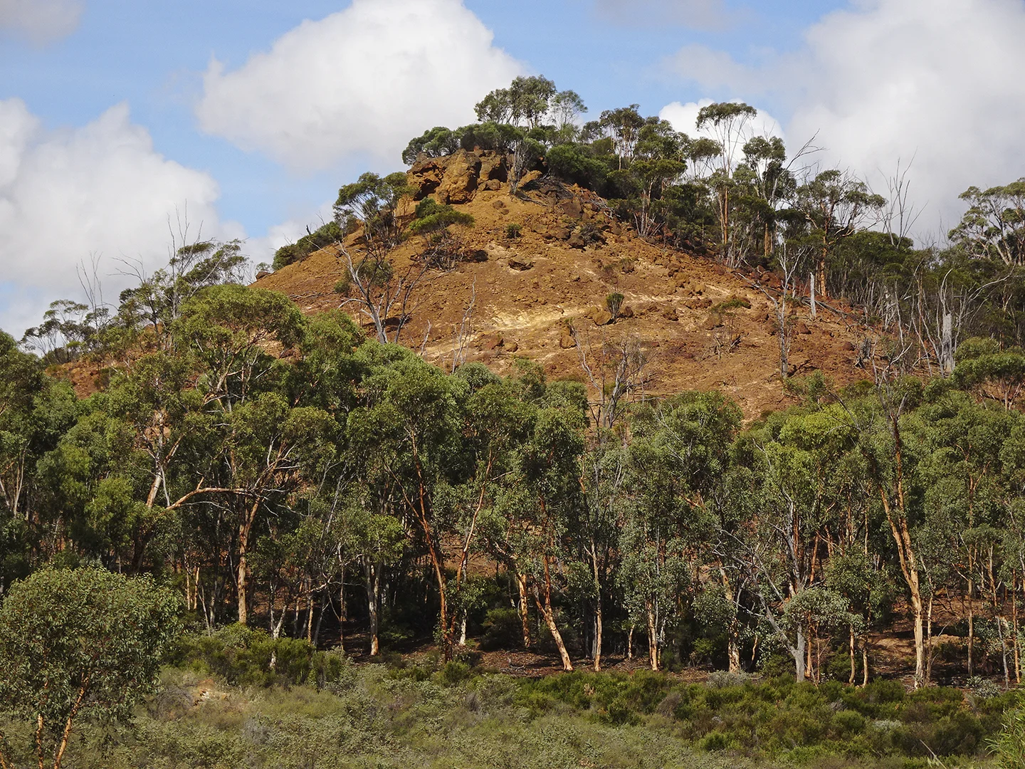 Additional image 16 of 10840 Brookton Highway, Brookton WA 6306