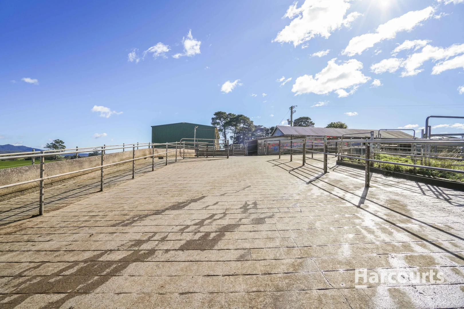 Additional image 7 of 214 Mathinna Plains Road, Ringarooma TAS 7263