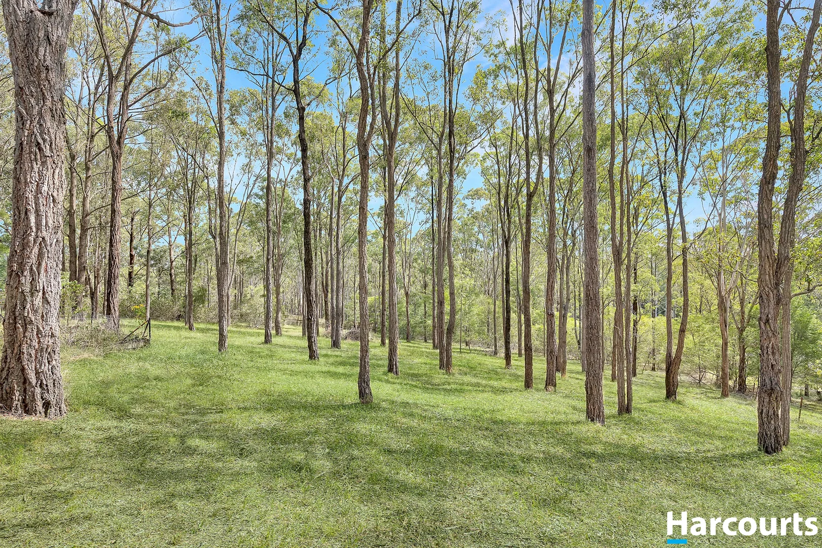 Additional image 23 of 46 Gaggin Street, Clarence Town NSW 2321
