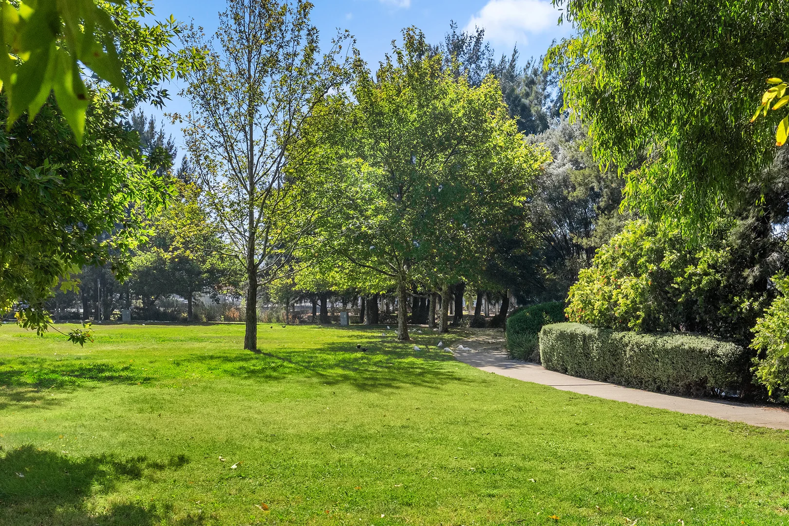 Additional image 26 of 100/56 Printers Way, Kingston ACT 2604