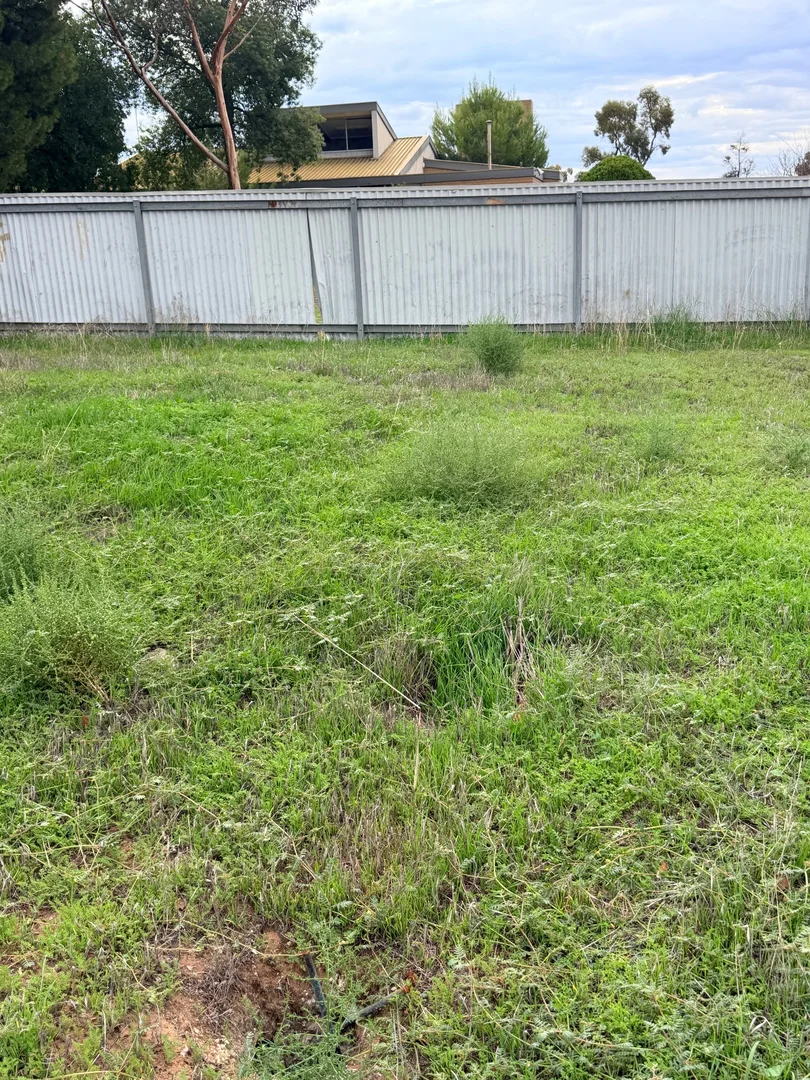 Additional image 6 of 7 Bruce, Hopetoun VIC 3396