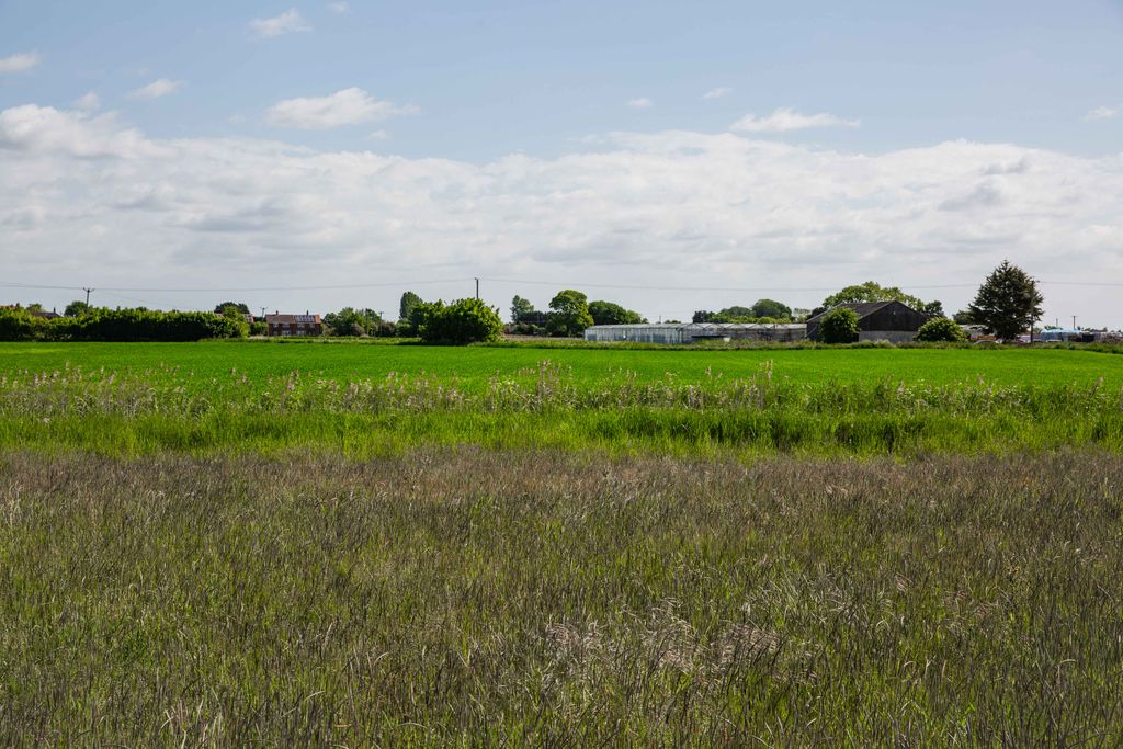 Additional image 9 of Land for saleOff Forty Foot Lane, Boston PE22