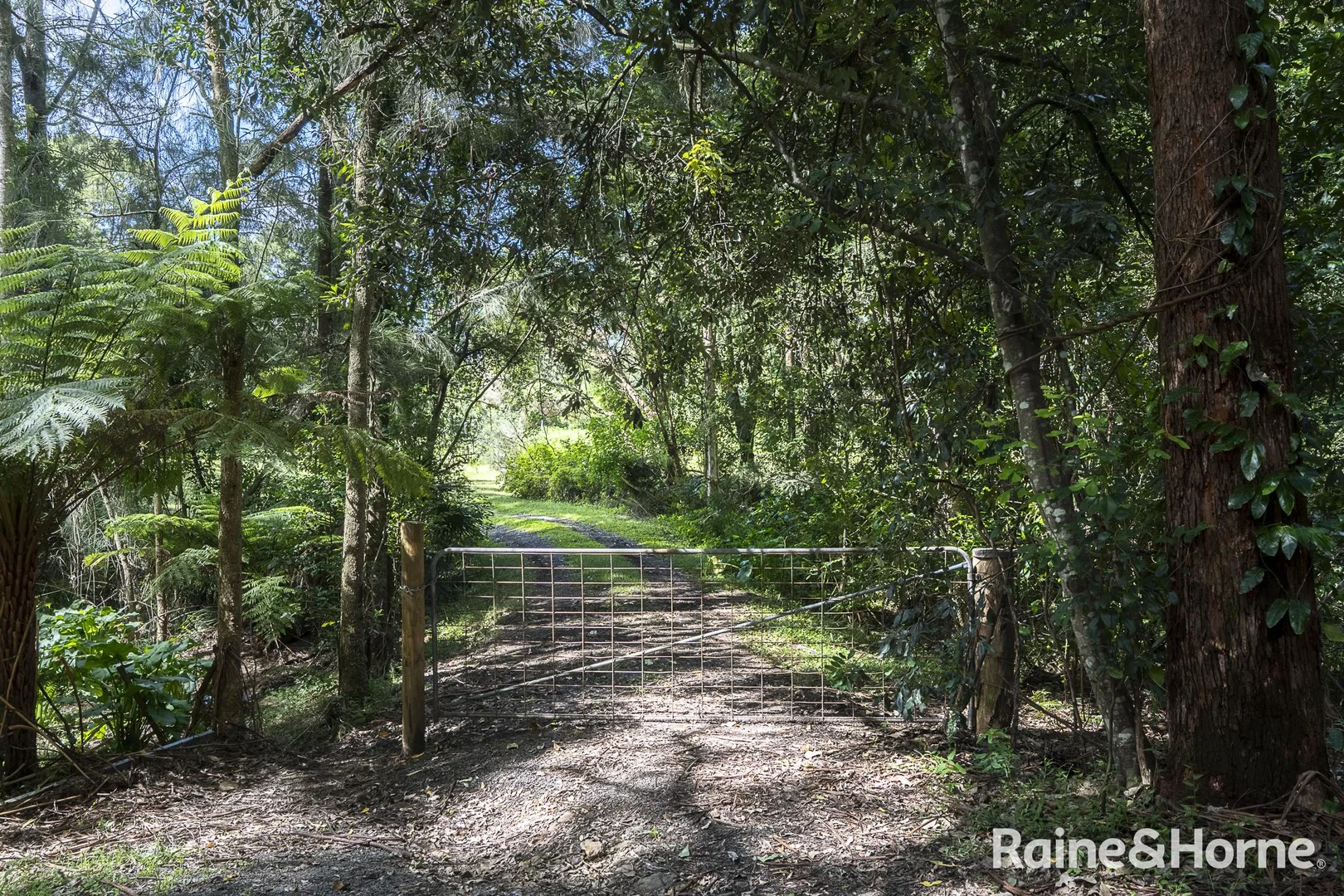 Additional image 4 of Lot 1 Foremans Road, Woodhill NSW 2535
