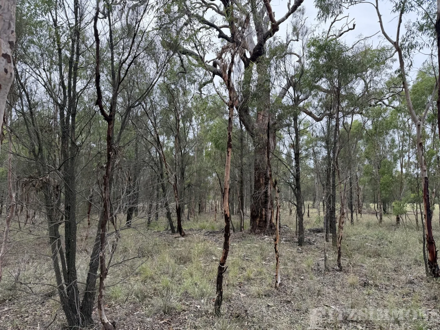 Additional image 5 of Ducklo QLD 4405