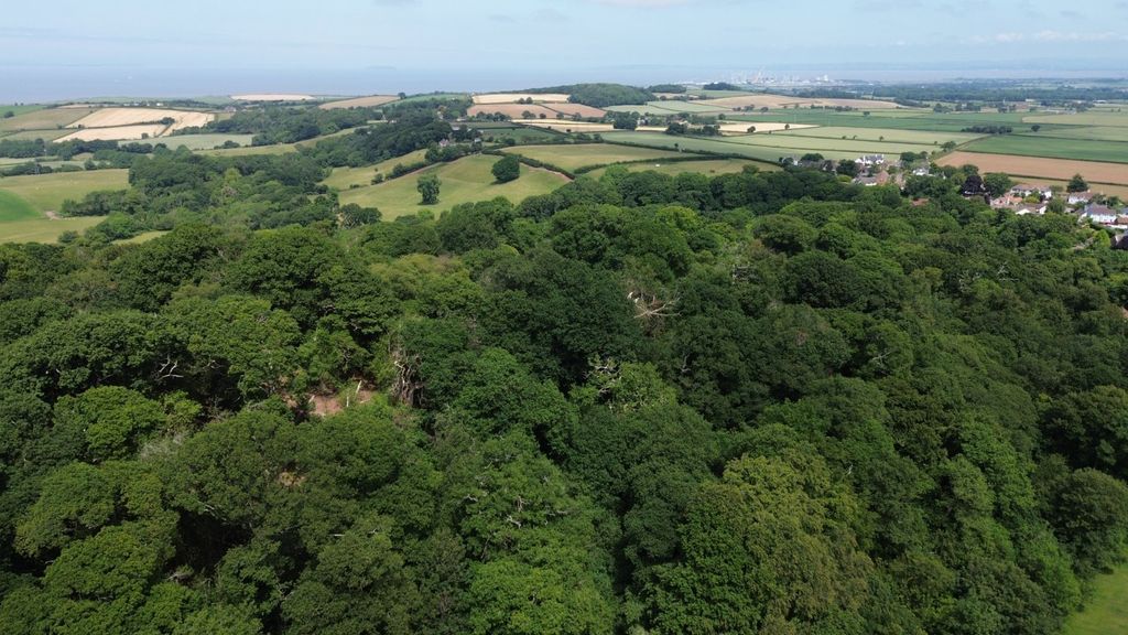 Additional image 10 of Land for saleHolford, Bridgwater, Somerset TA5