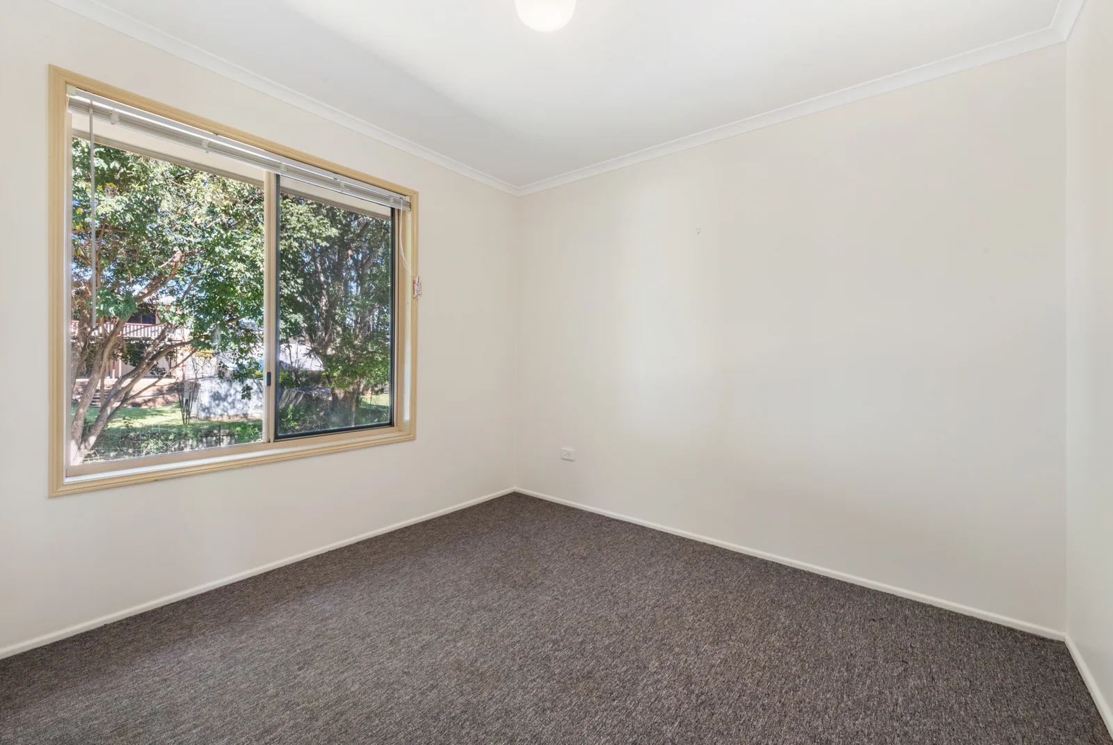 Additional image 9 of 35 Lorrikeet Street, Bundamba QLD 4304
