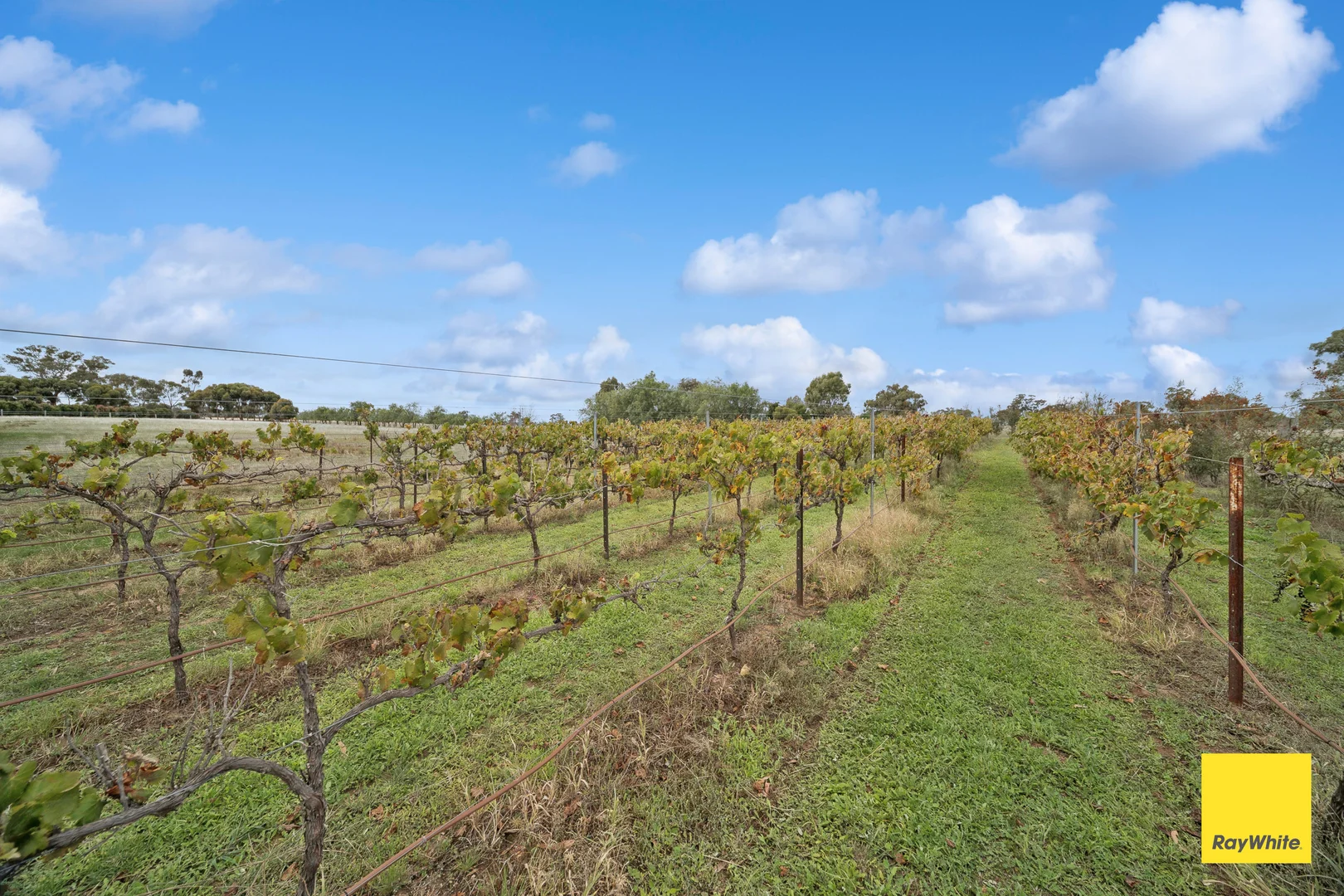 Additional image 20 of 73 Axedale-goornong Road, Axedale VIC 3551
