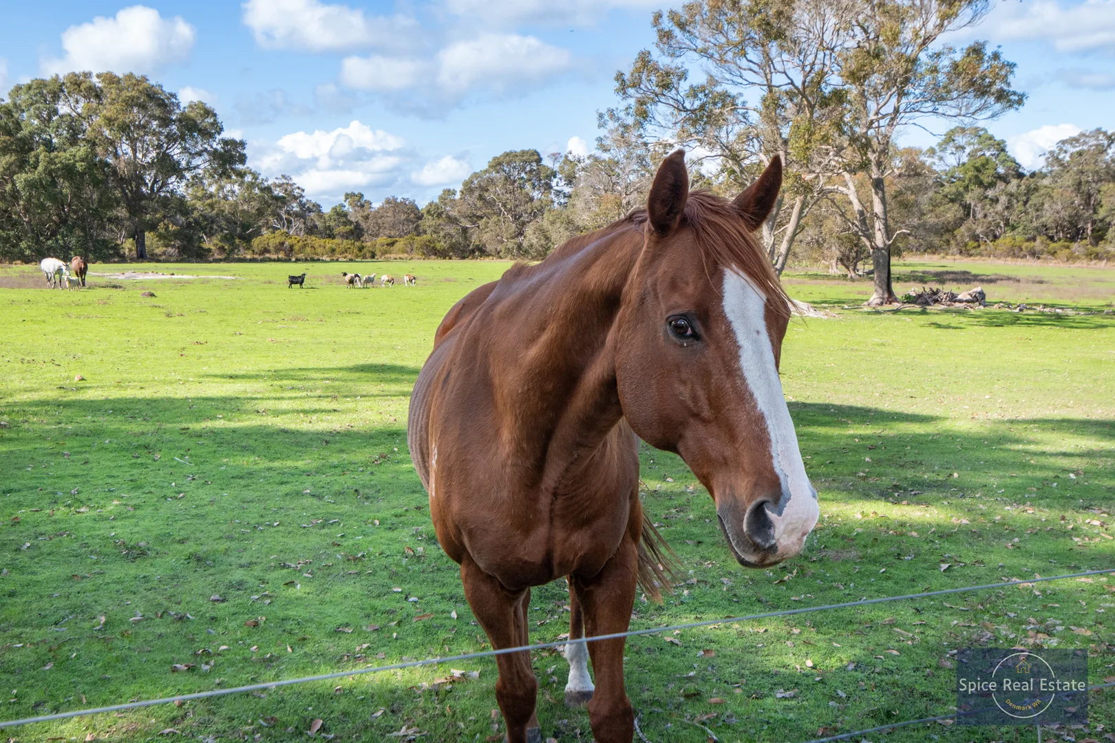 Additional image 7 of 126 Bidewell Road, Kordabup WA 6333