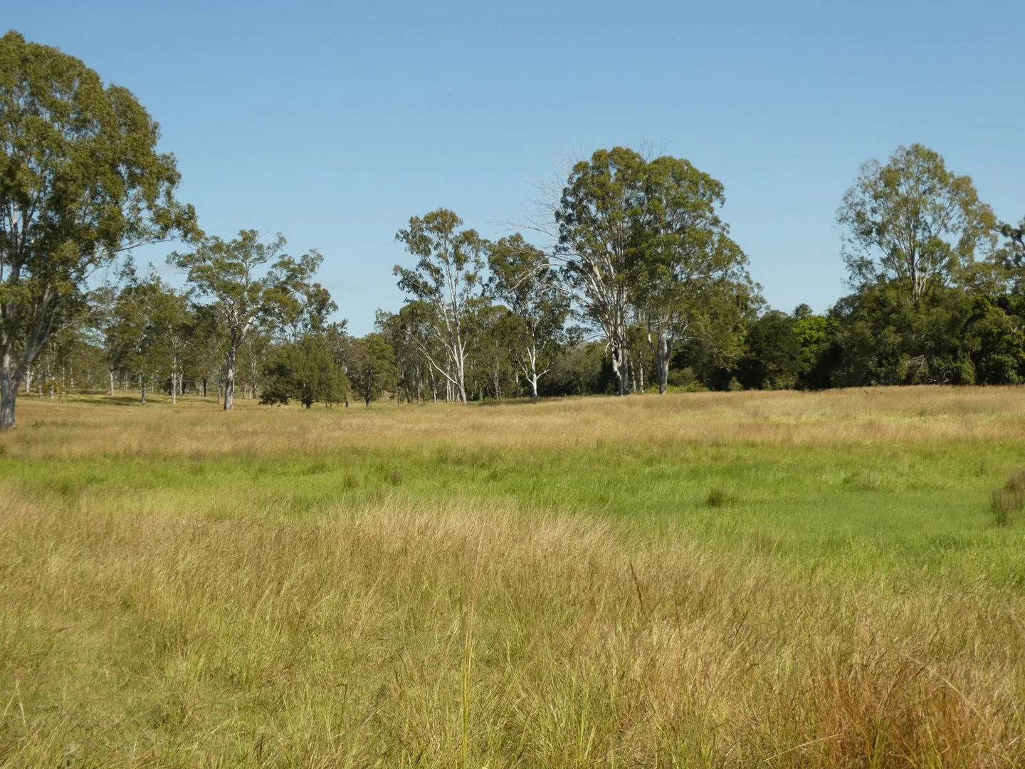 Additional image 12 of Lot 31 Brooweena Woolooga Road, Teebar QLD 4620