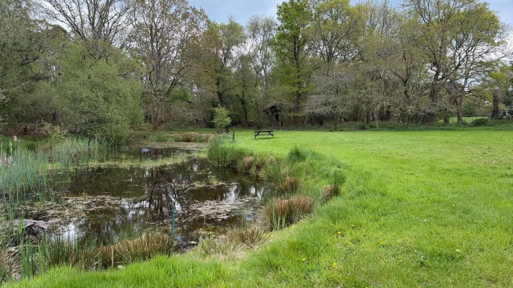 Additional image 5 of Land for saleLions Hill Way, Ashley Heath, Ringwood BH24