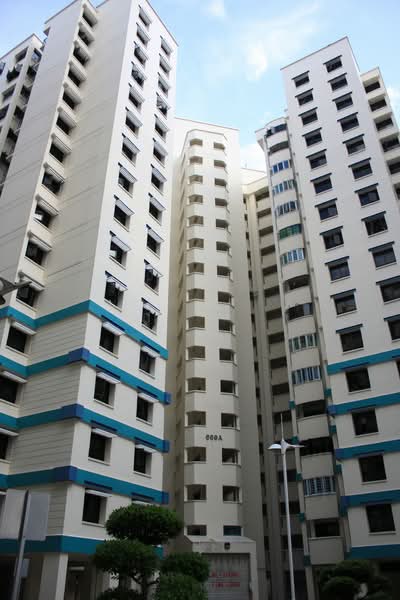 669A Jurong West Street 64 photo 5