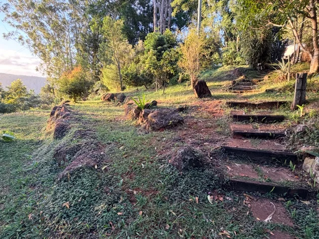 Additional image 31 of 2448 Dunoon Road, Rosebank NSW 2480
