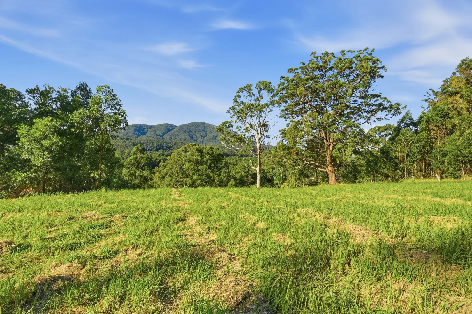 Additional image 29 of 587 Hannam Vale Road, Stewarts River NSW 2443