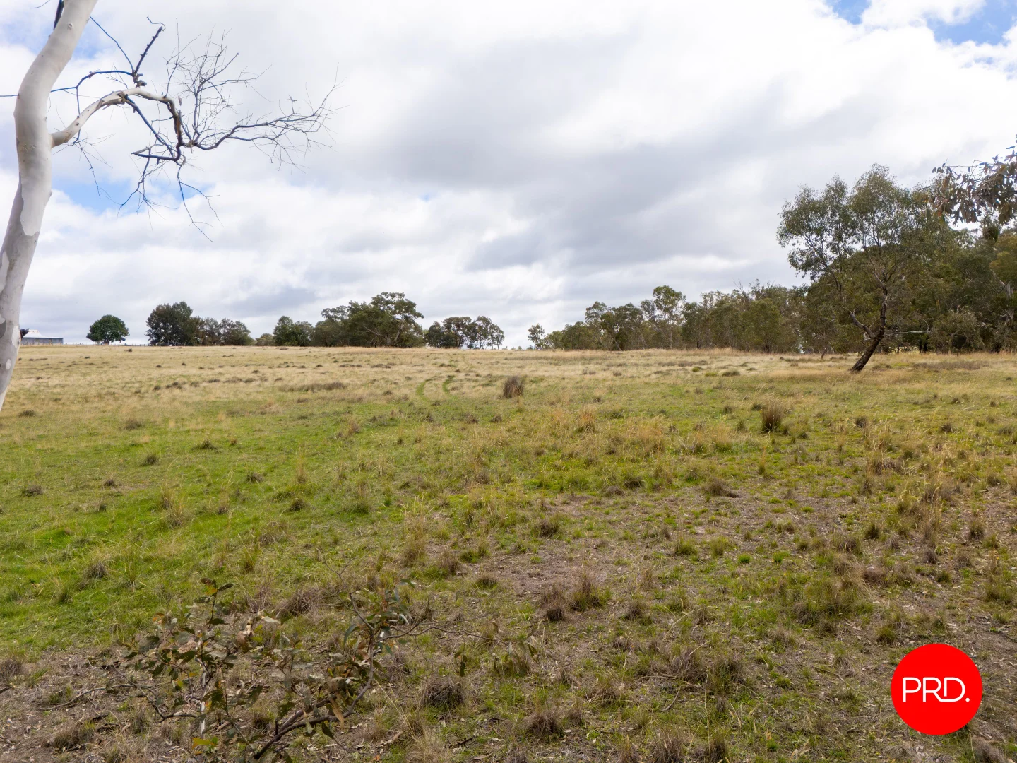 Additional image 10 of 1445 Bendigo-Sutton Grange Road, Sutton Grange VIC 3448