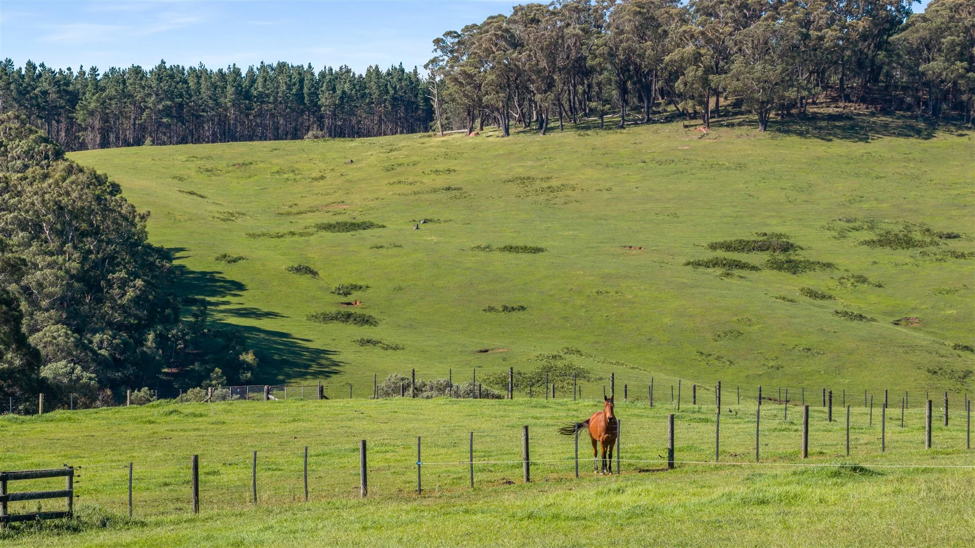 Additional image 29 of 464 Bumballa Road, Tallong NSW 2579
