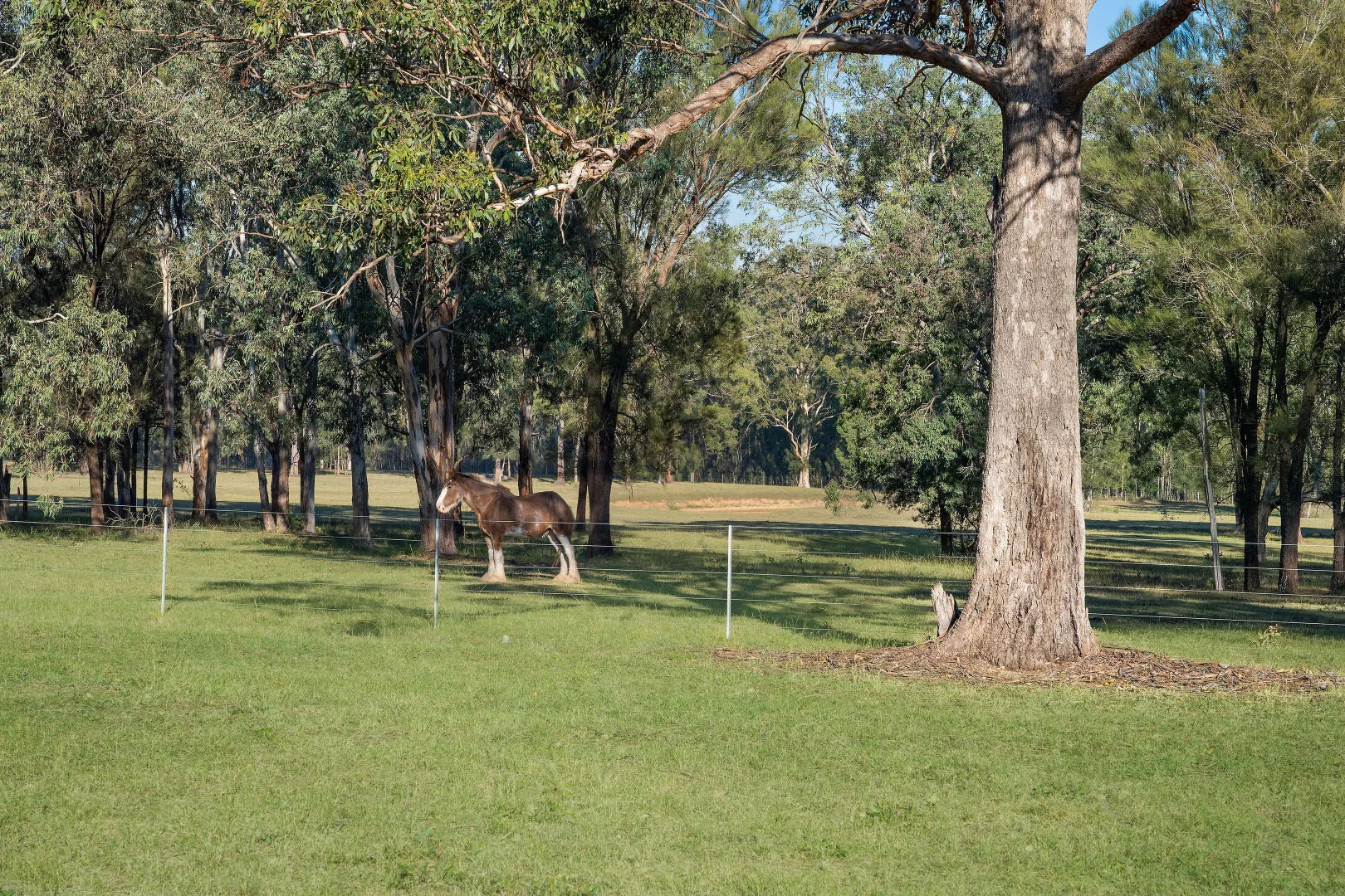 Additional image 14 of 456 Hermitage Road, Pokolbin NSW 2320