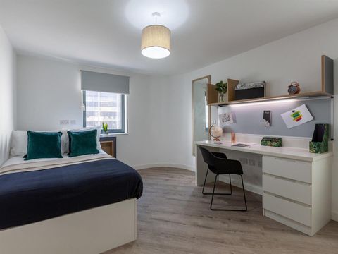 Fitzalan Road, Cardiff CF24, Studio to rent