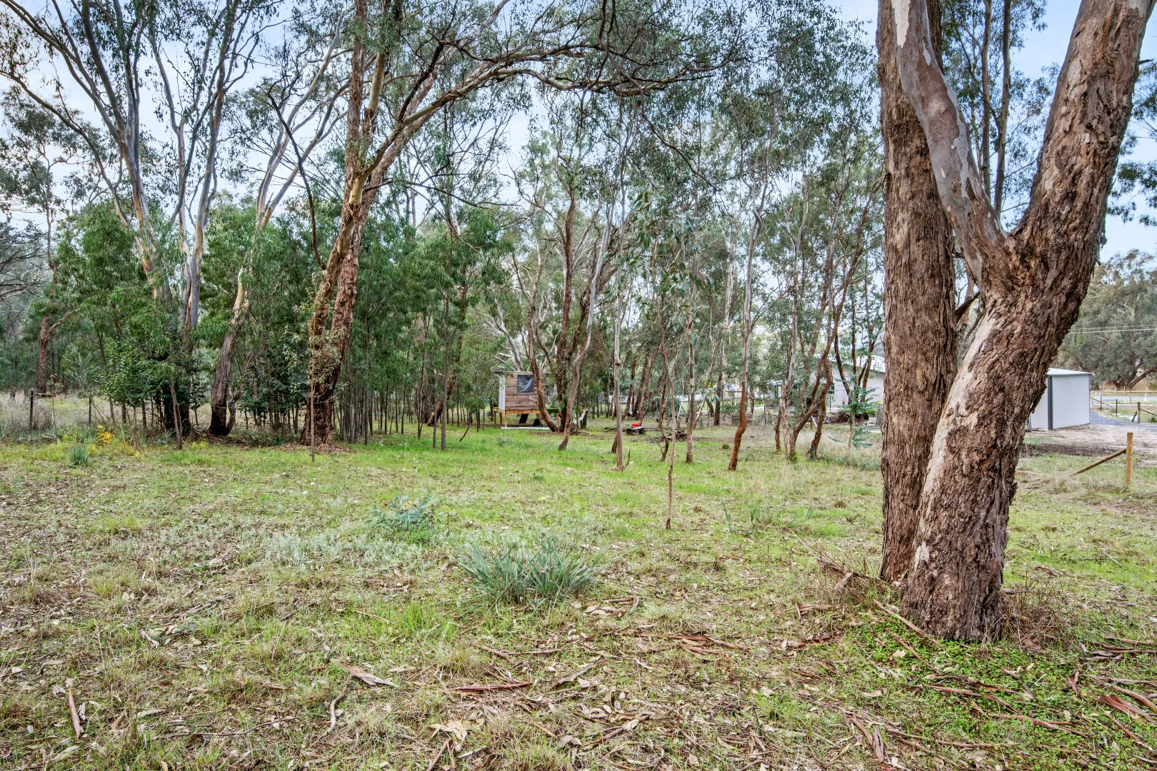 Additional image 16 of 1685 Gerogery Road, Gerogery NSW 2642