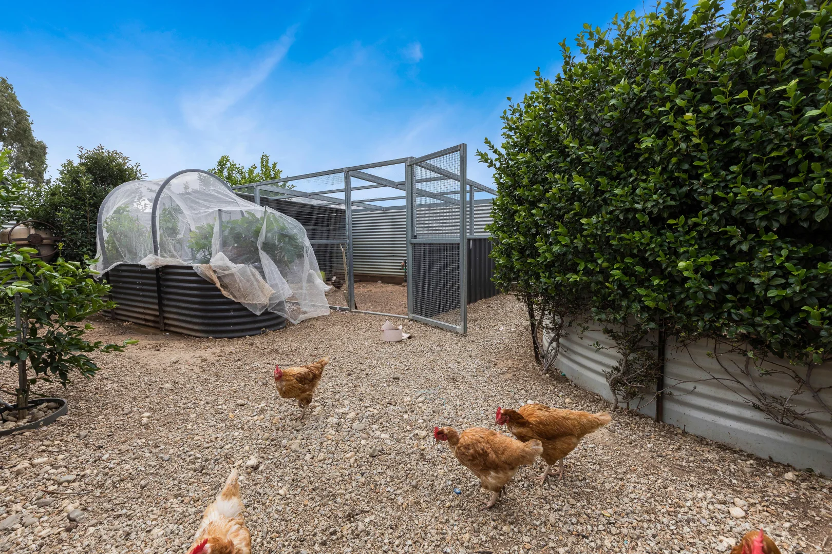 Additional image 26 of 11 Jane Road, Kerang VIC 3579